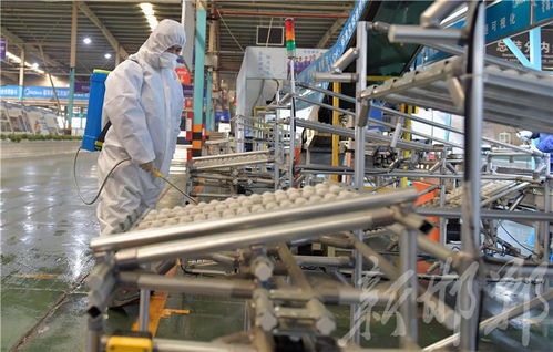 開工復工，美的空調邯鄲工廠全方位做好防控疫情與安全生產的平衡之道